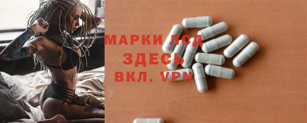прущие грибы Тавда