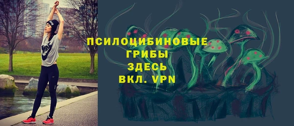 прущая мука Арсеньев