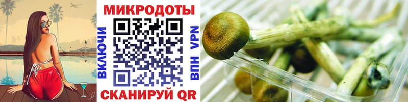 Галлюциногенные грибы Magic Shrooms  Людиново 